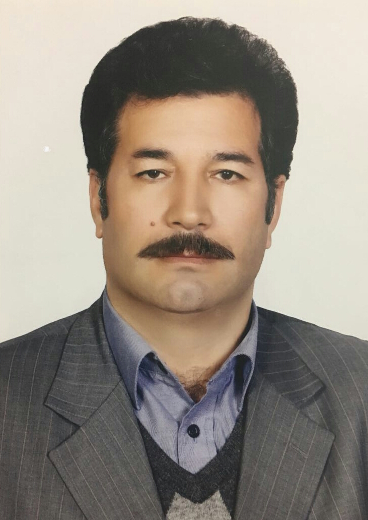 دکتر محمد ابراهیم زارعی